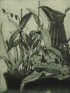 Still Life with Jug